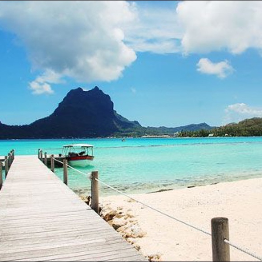 Meet your Posher, Sammy